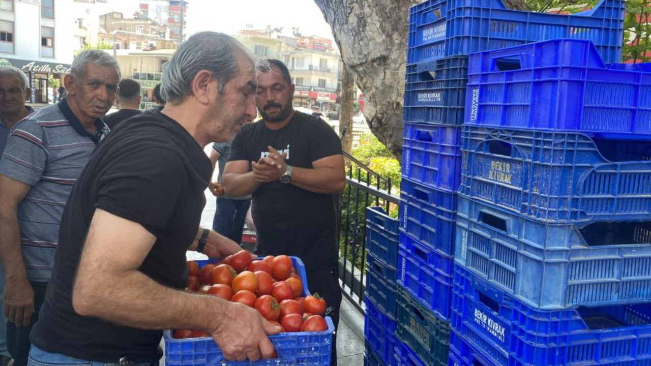 4 ton domates ücretsiz dağıtıldı! Meydanda uzun kuyruklar oluştu