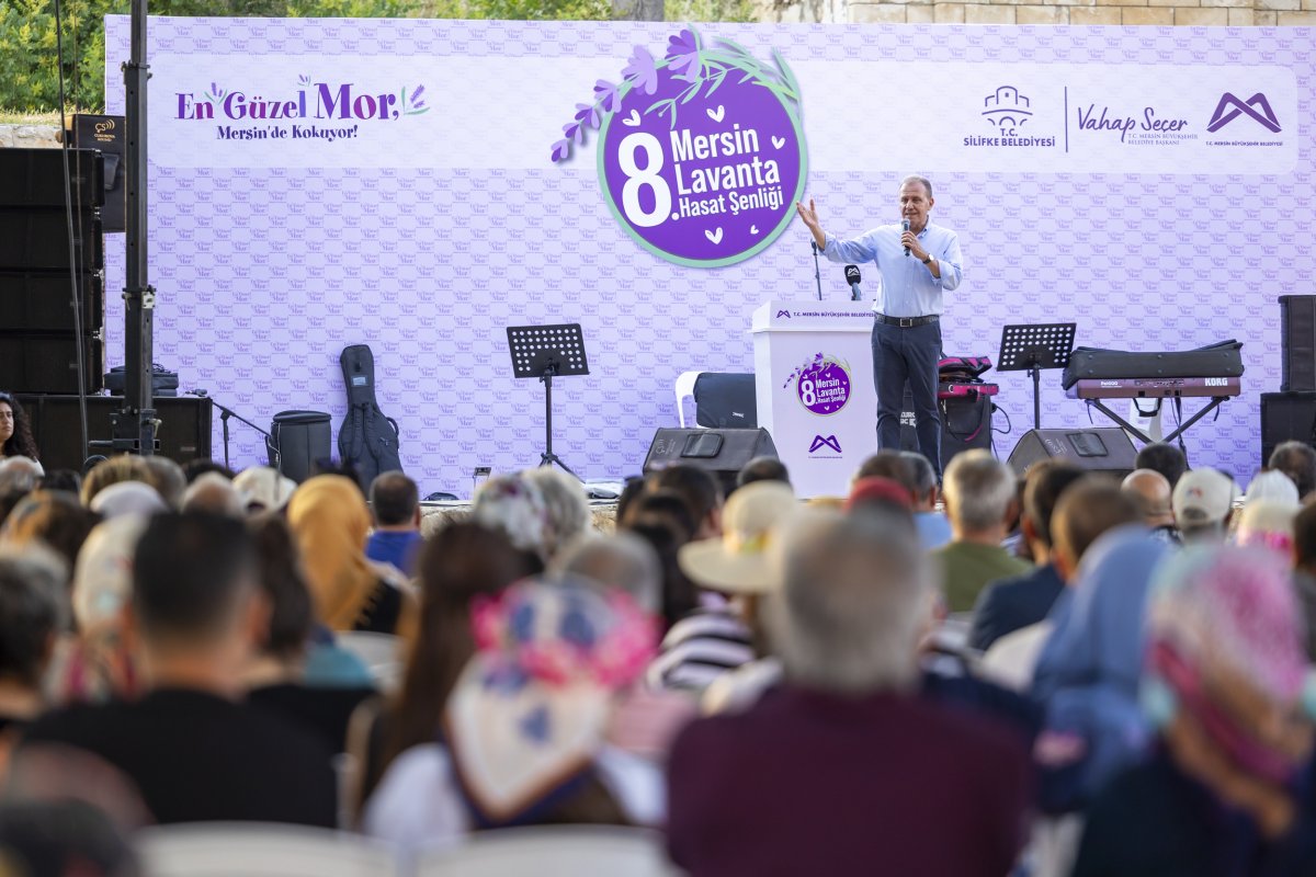 "En Güzel Mor Mersin'de Kokuyor" 