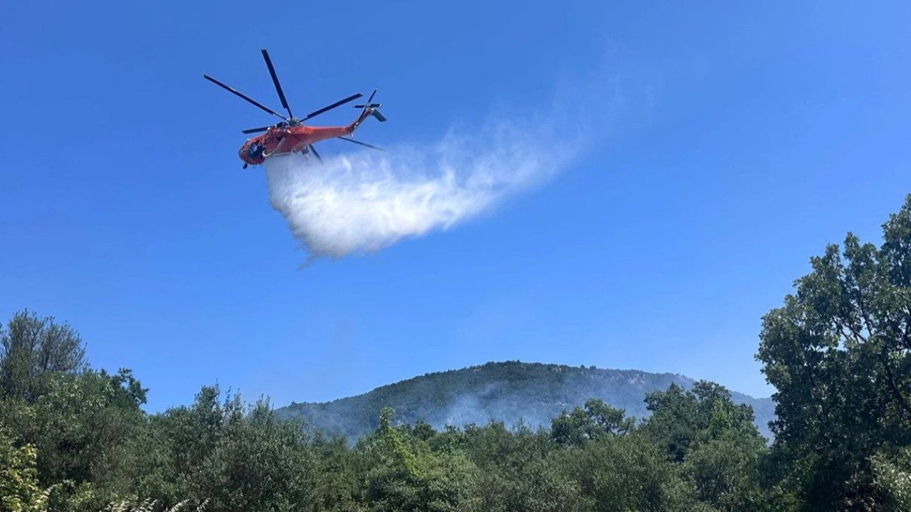 Çanakkale Ayvacık'ta orman yangını! Ekipler havadan ve karadan seferber oldu