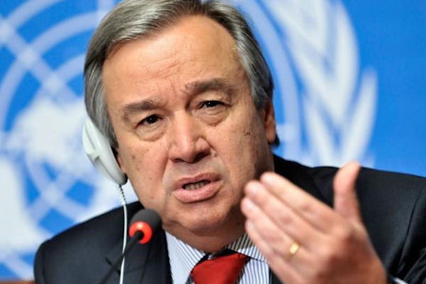 Guterres: Ormansızlaşma durdurulmalı