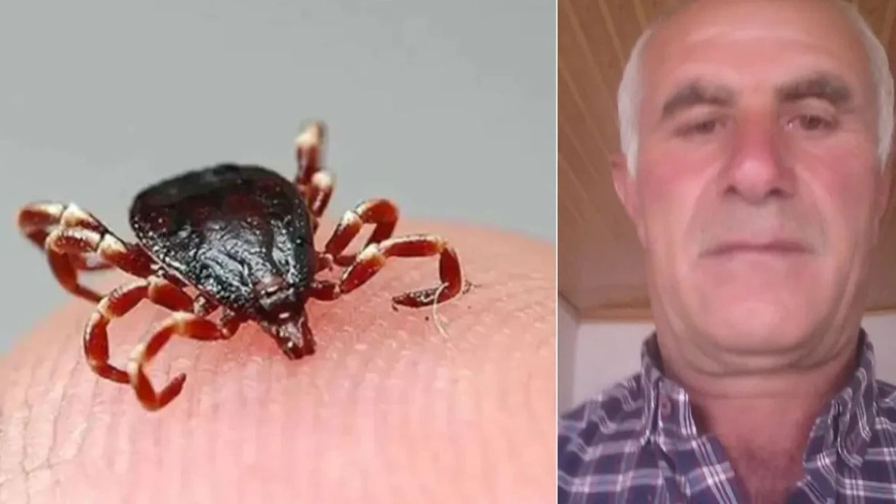 Havalar ısındı, o kabus geri döndü: Tokat'ta 1 kişi öldü