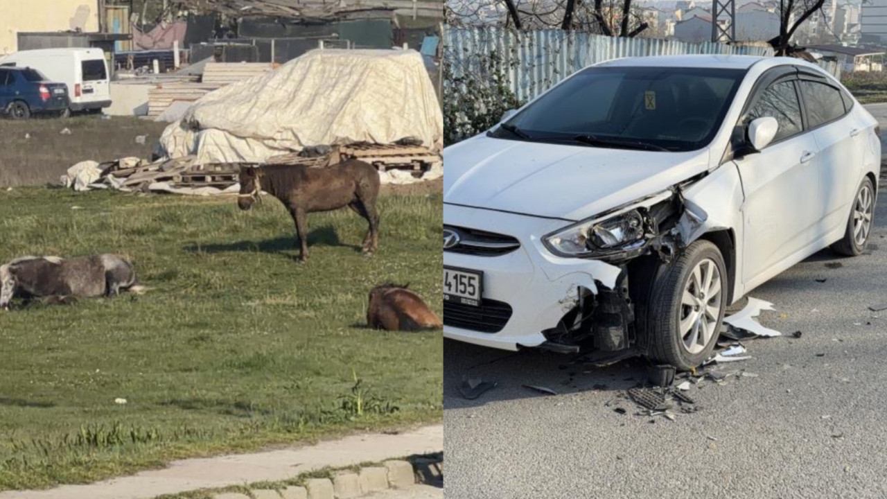 İstanbul'da yok artık dedirten kaza! 