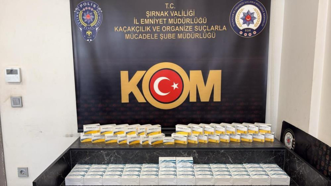 Şırnak'ta 2,5 milyon liralık kaçak ilaç ve serum operasyonu