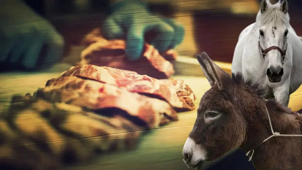 Tarım Bakanlığı hileli gıdaları ifşa etti! Sucuk, tantuni ve lahmacunda at-eşek eti skandalı